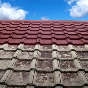 Our services at Just Incredible Cleaning based in Ringwood include roof steam cleaning for both residential and commercial properties. We specialise in providing top-notch cleaning services to ensure that your roof looks its best and is free from dirt, moss, grime, and debris. Our team is dedicated to delivering exceptional results and exceeding our clients' expectations. Whether you need a one-time cleaning or ongoing maintenance, we have the expertise and tools to get the job done efficiently and effectively using eco friendly products. Trust us to keep your roof in pristine condition and enhance the overall appearance of your property.